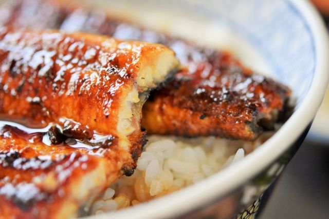うなぎ小鐵のうな丼