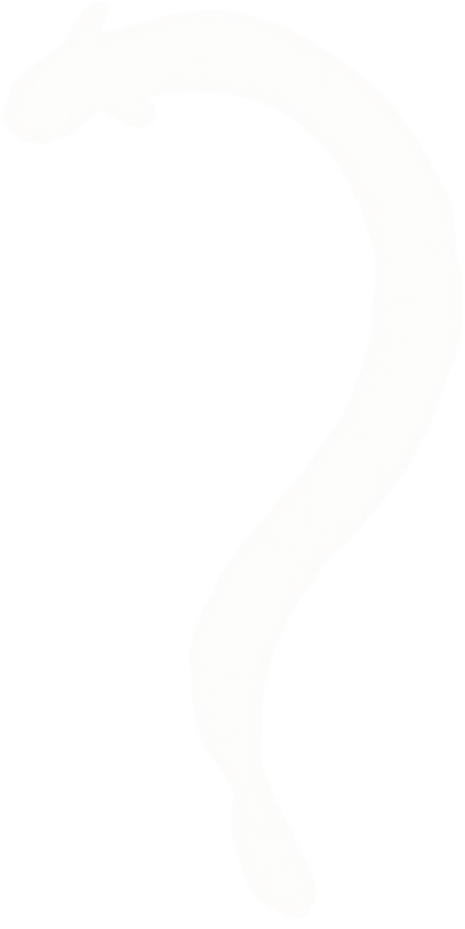 deco