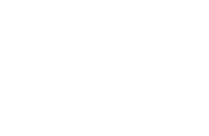 〆のうな重それが うな鐵流