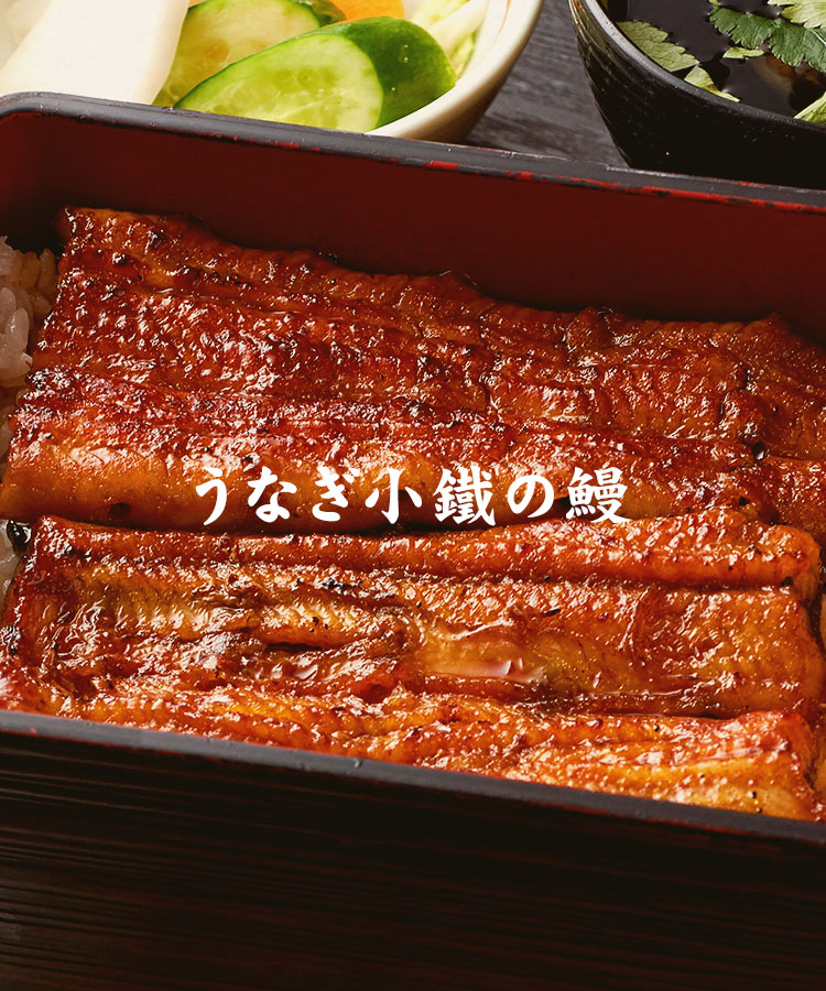 うなぎ小鐵の鰻