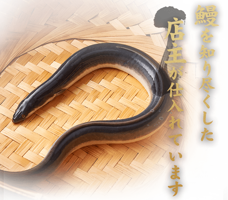 鰻を知り尽くした店主が仕入れて